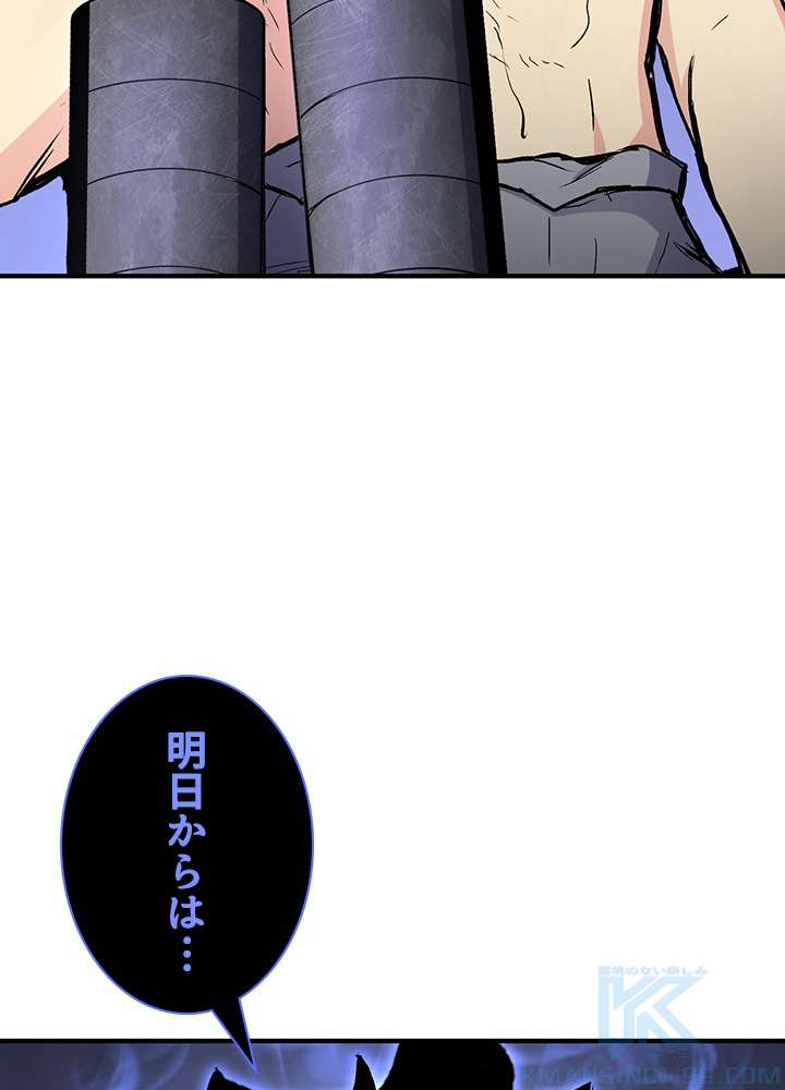 P61