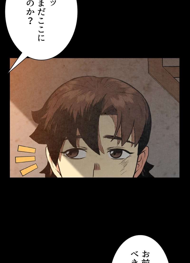 P53