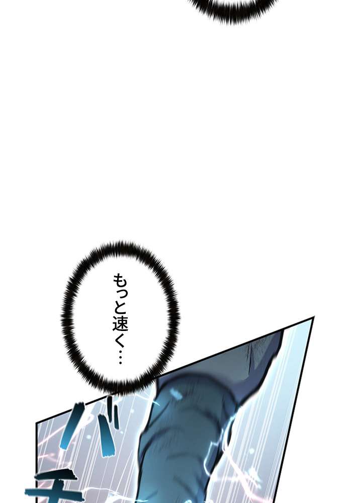 P113