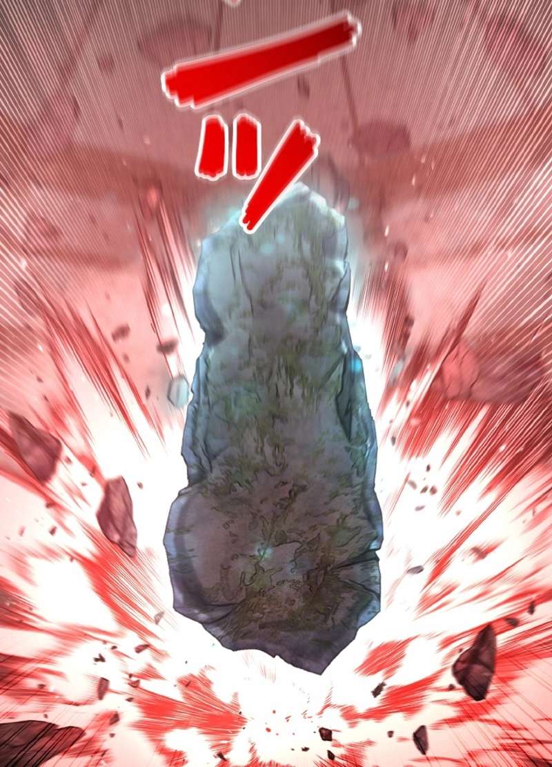 P110