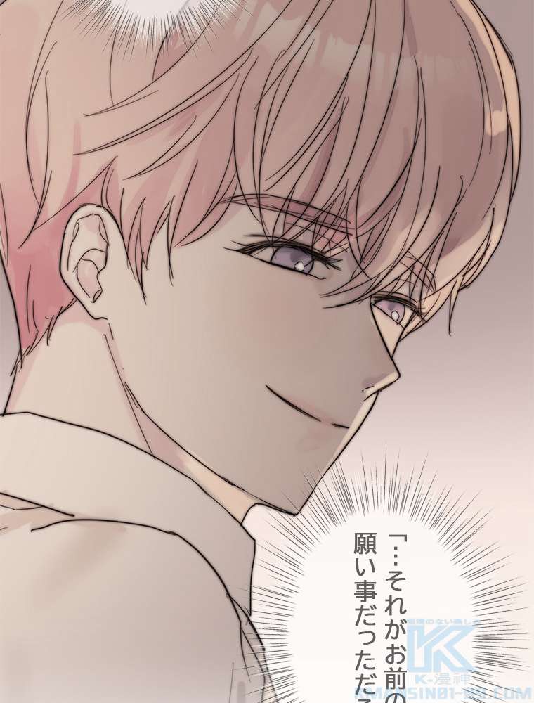 P61