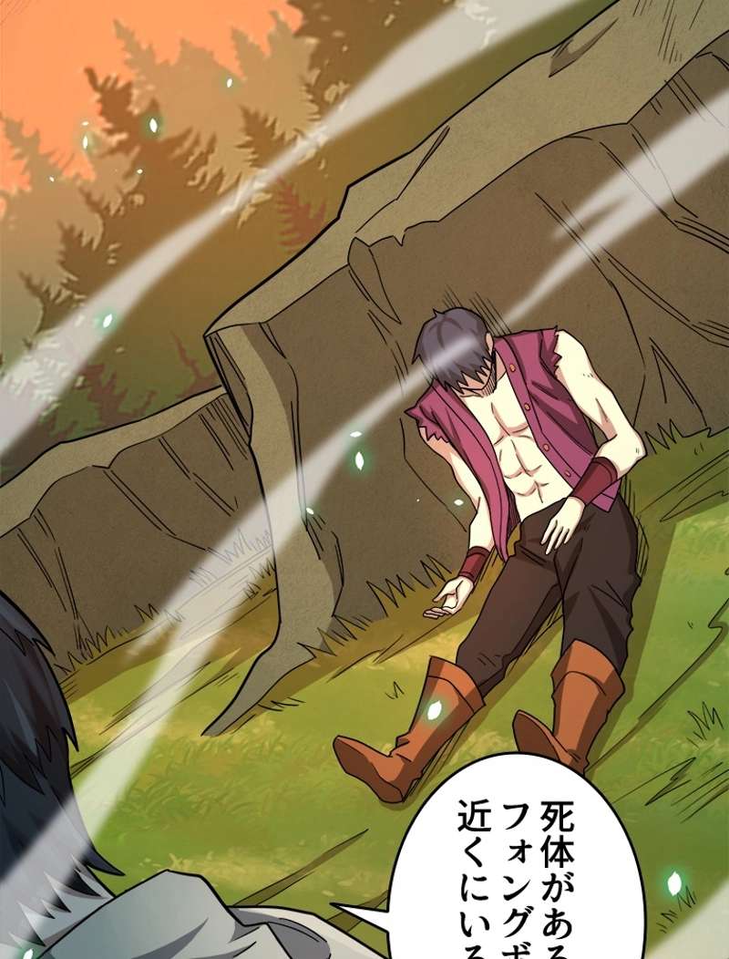 P66