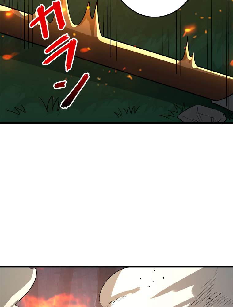 P113