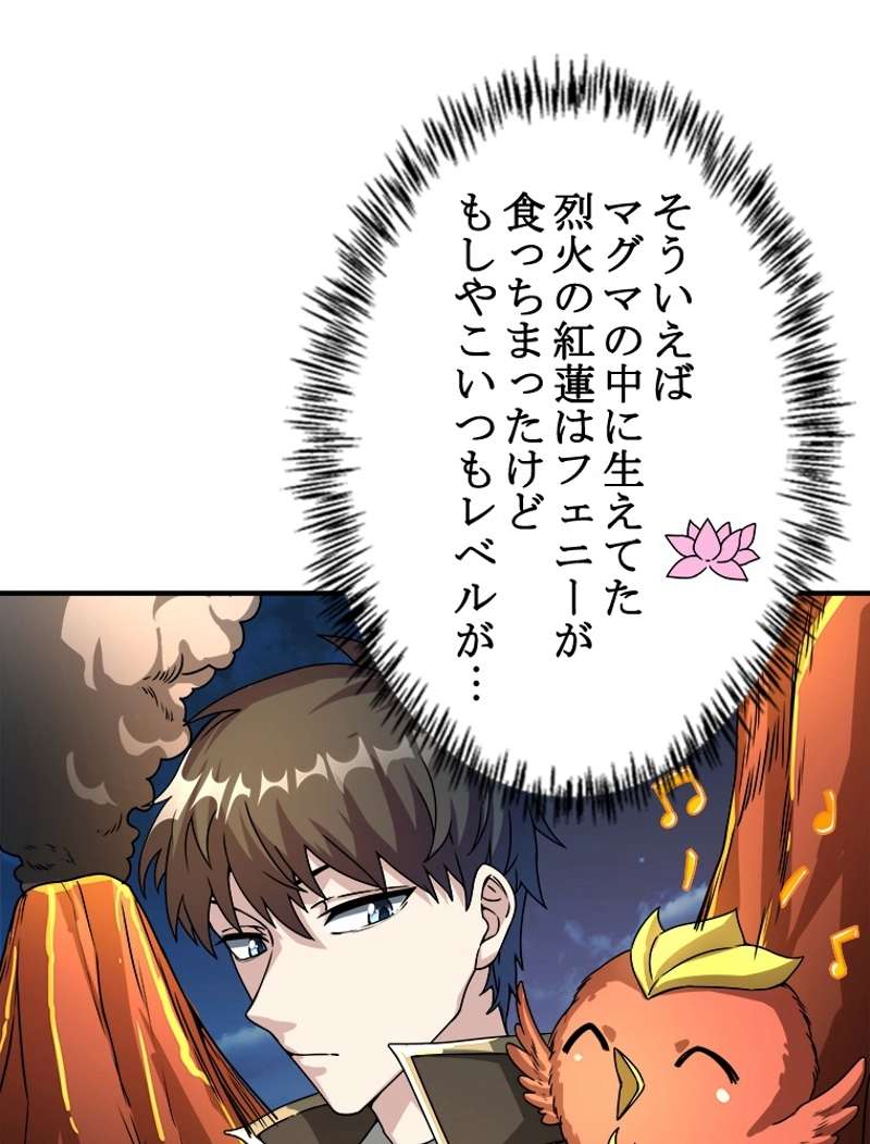 P66