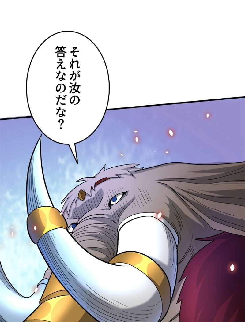 P65
