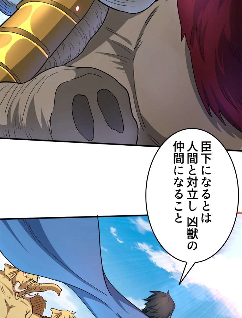 P66