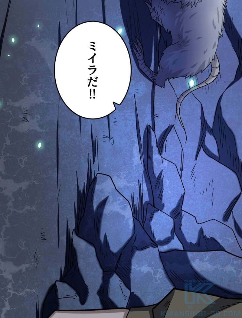 P46
