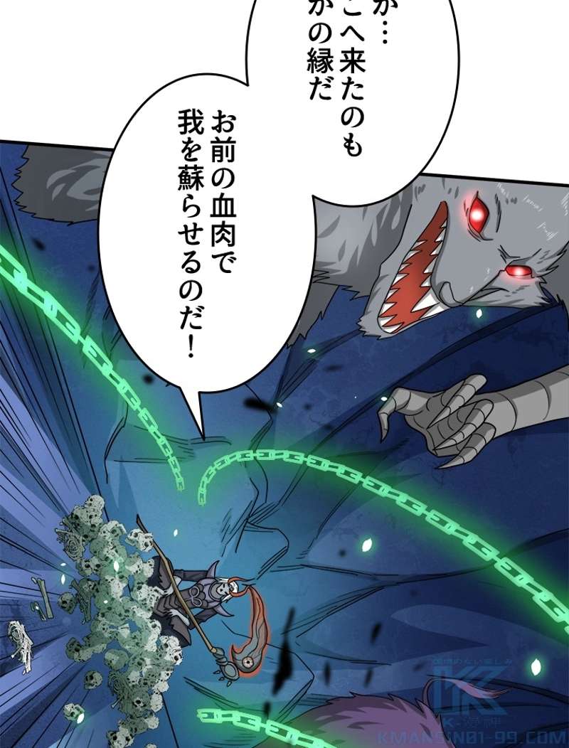 P61