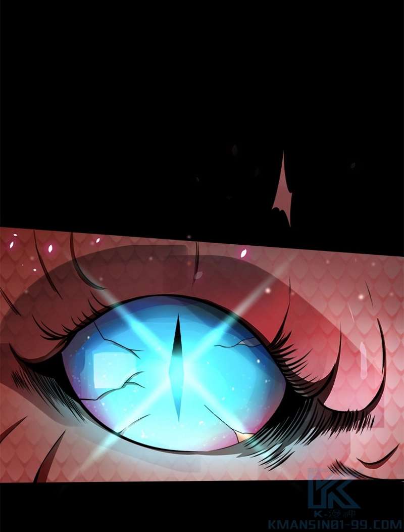 P61
