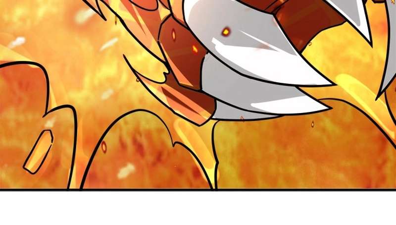 P65