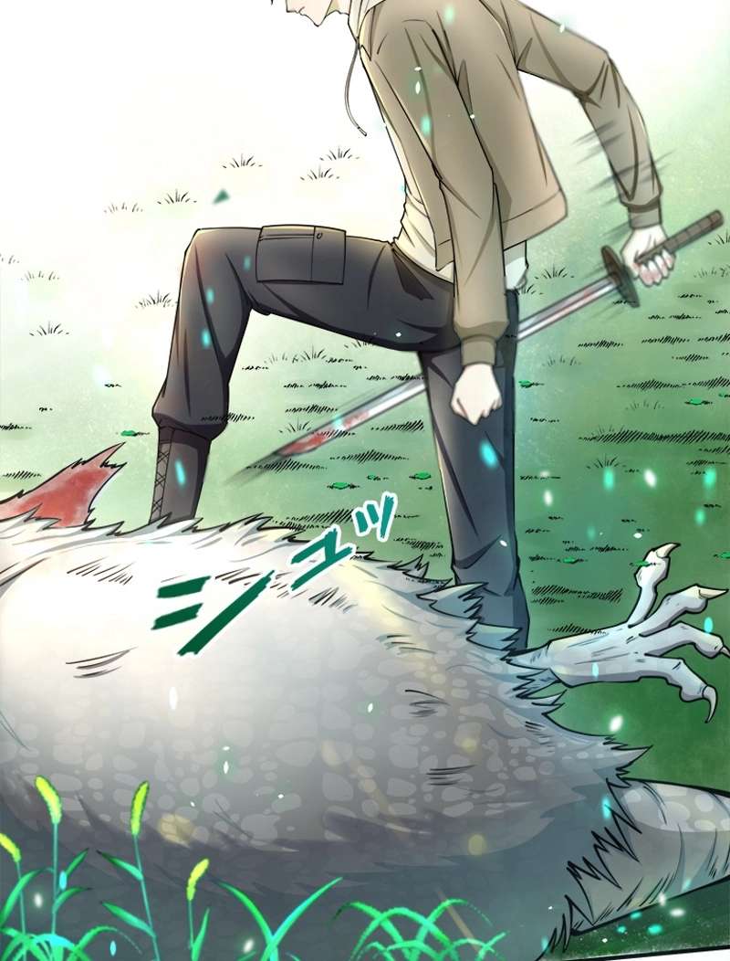 P44