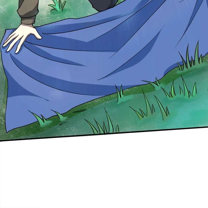 P66