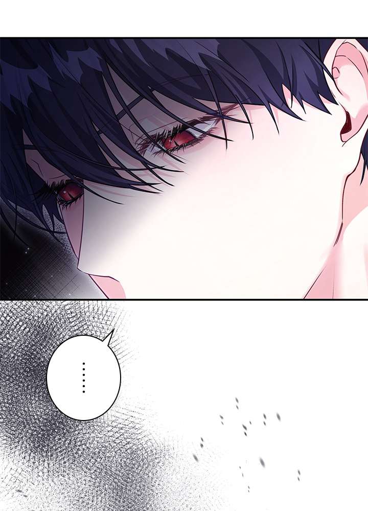 P53