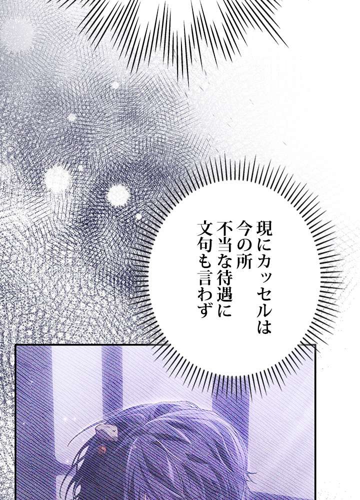 P63