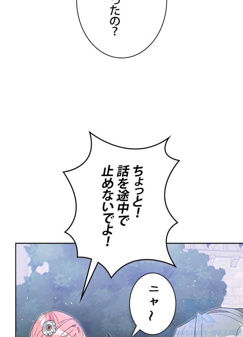 P61