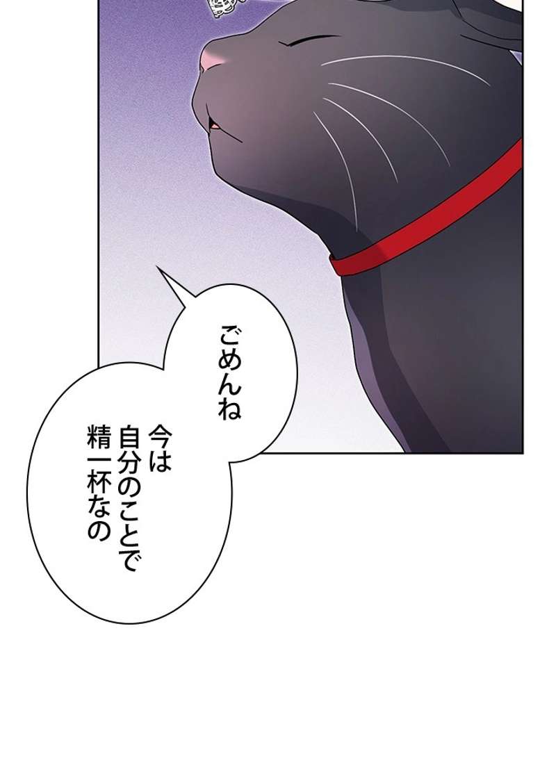 P54