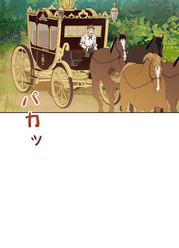 P63