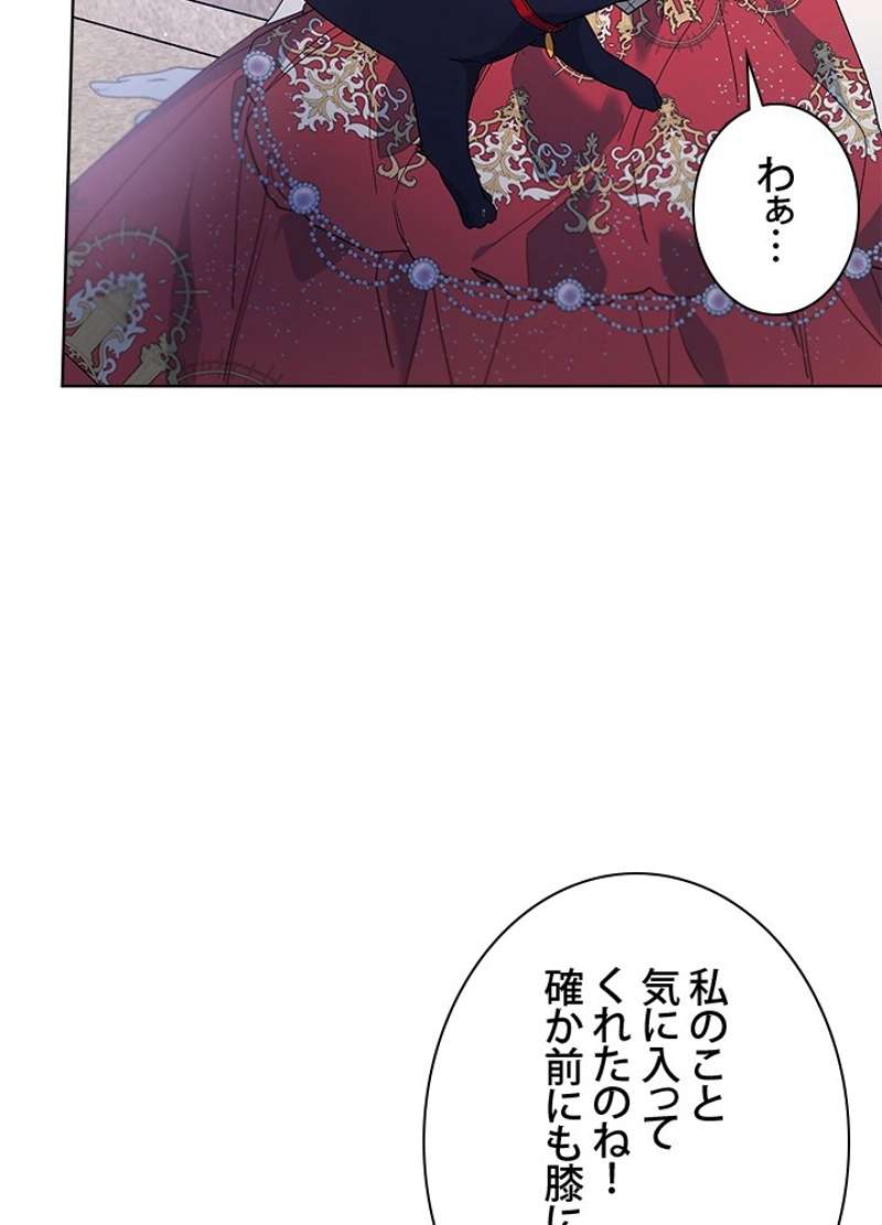 P81