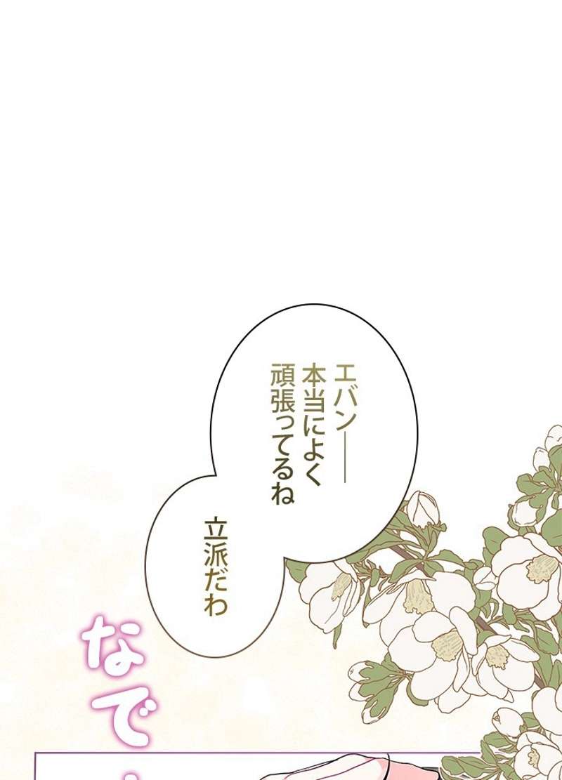 P65