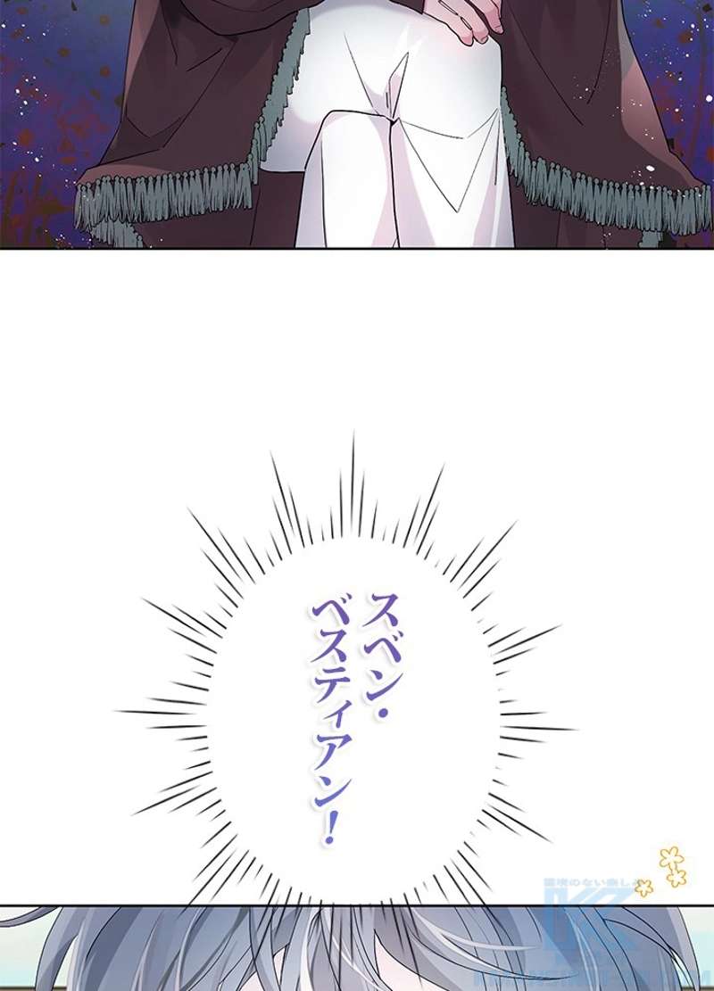 P53