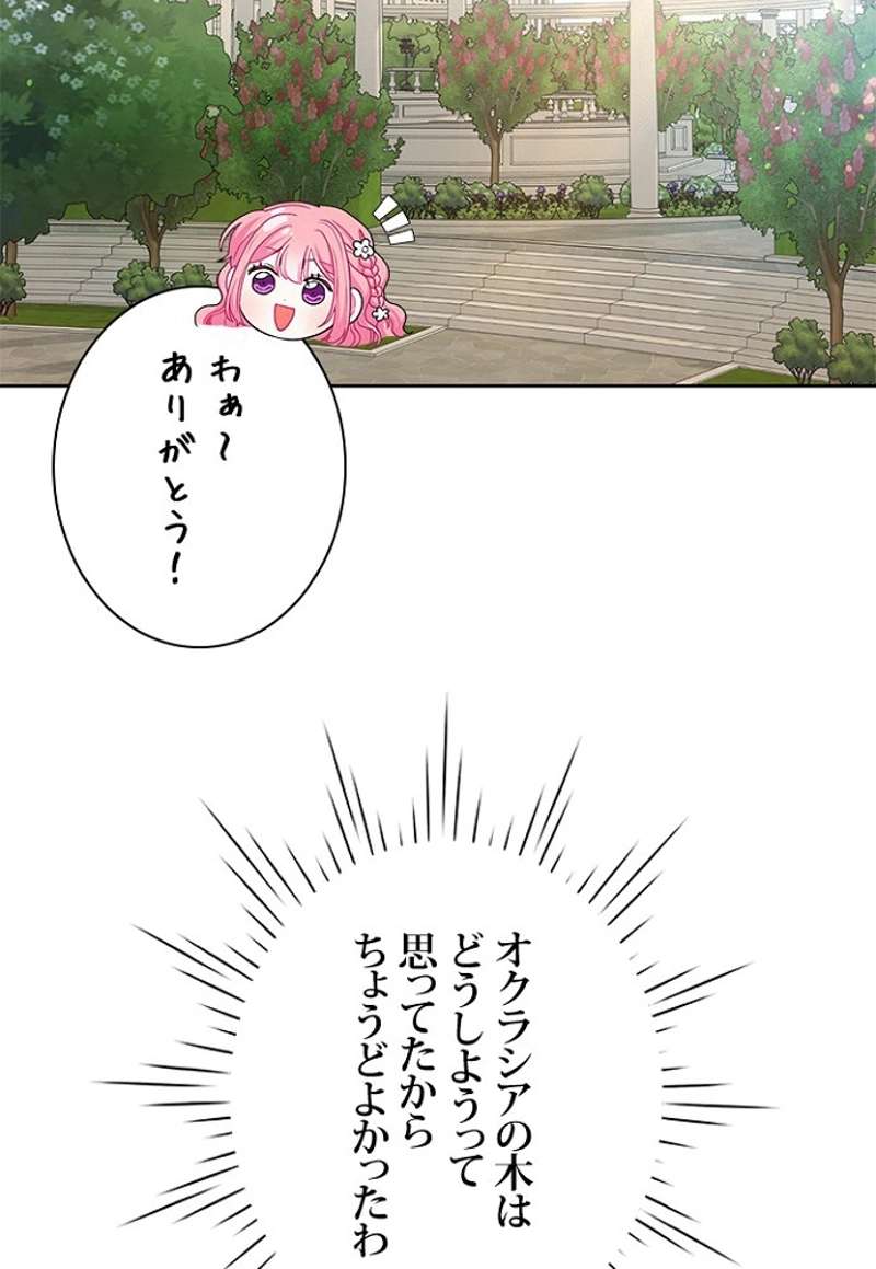 P40