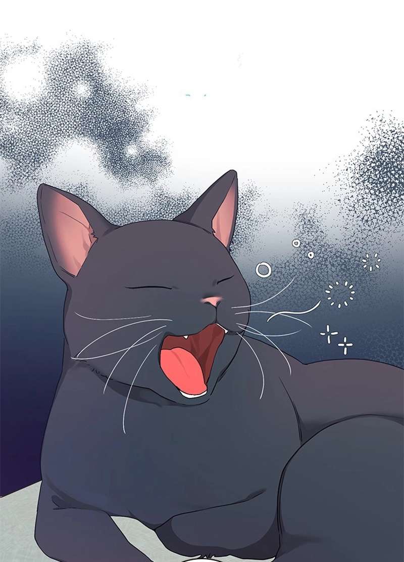P58