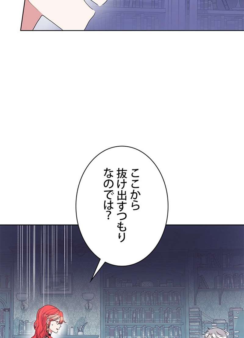 P66