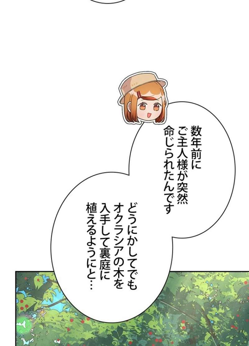 P53