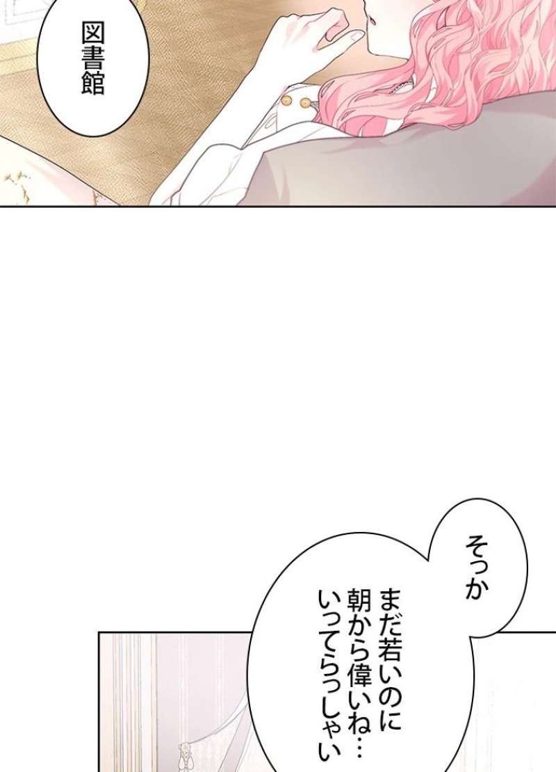 P61