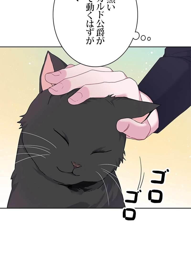 P63