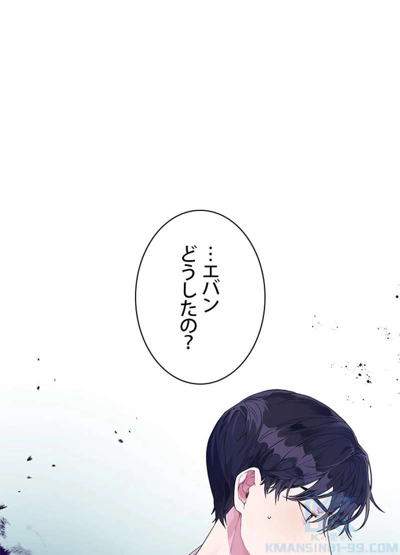 P41