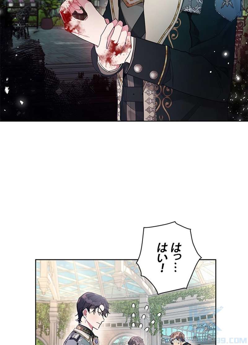 P41