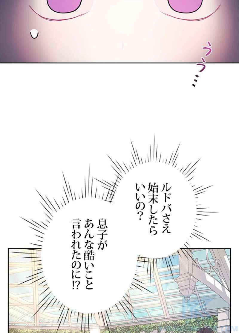 P53