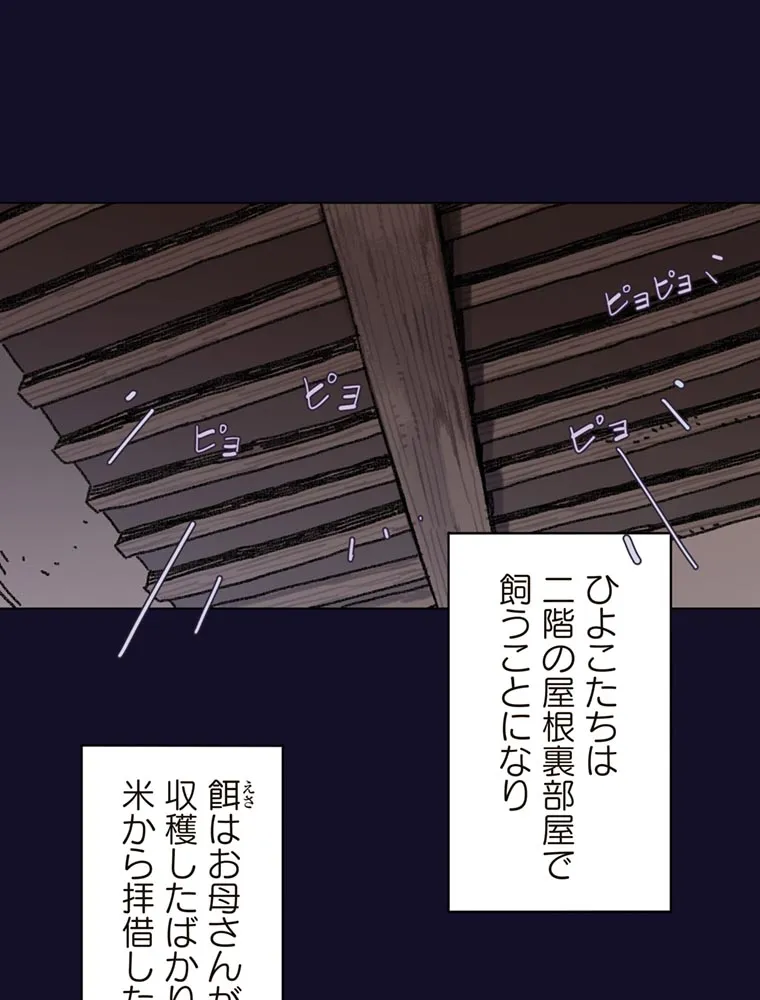 P63