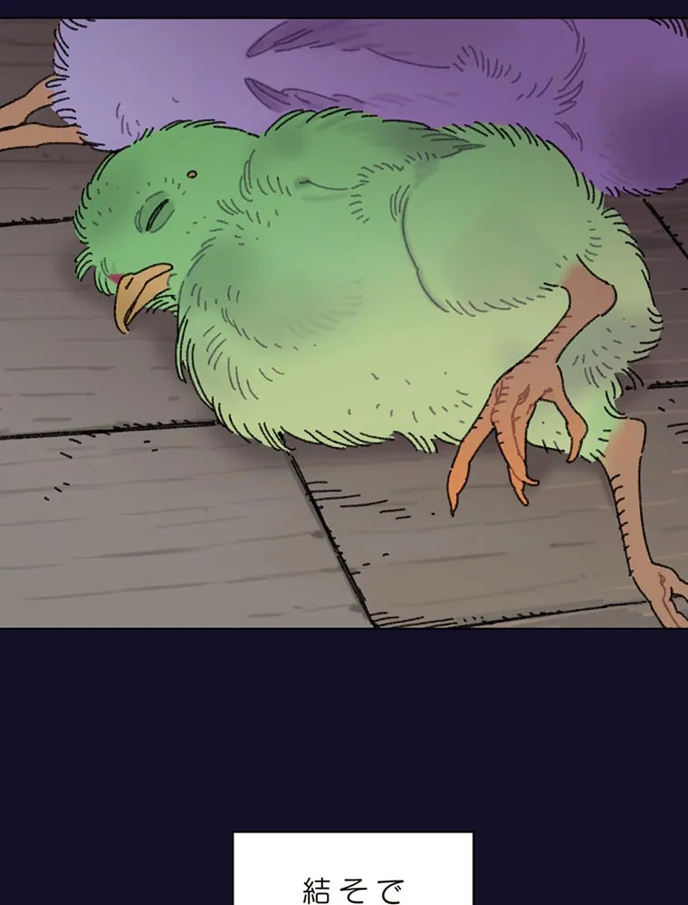 P66