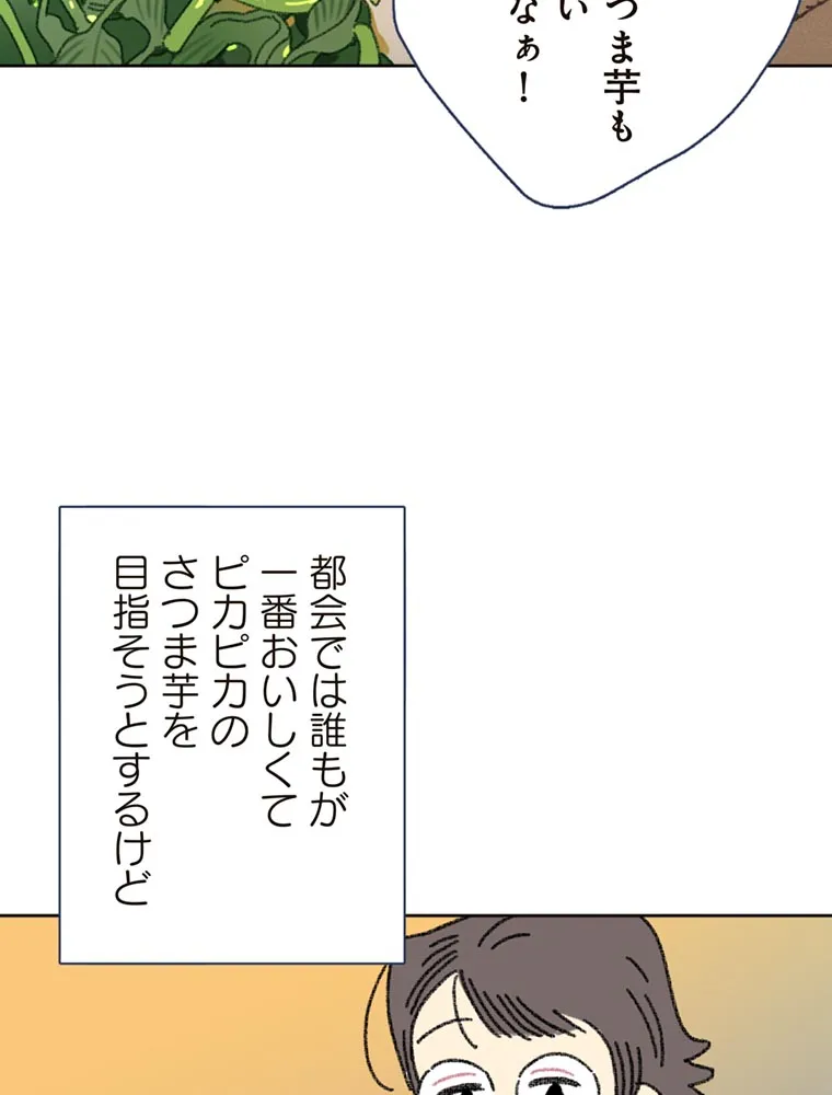 P81