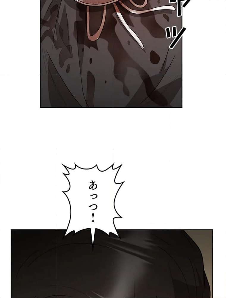 P61
