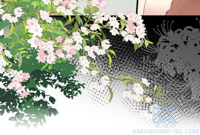P40