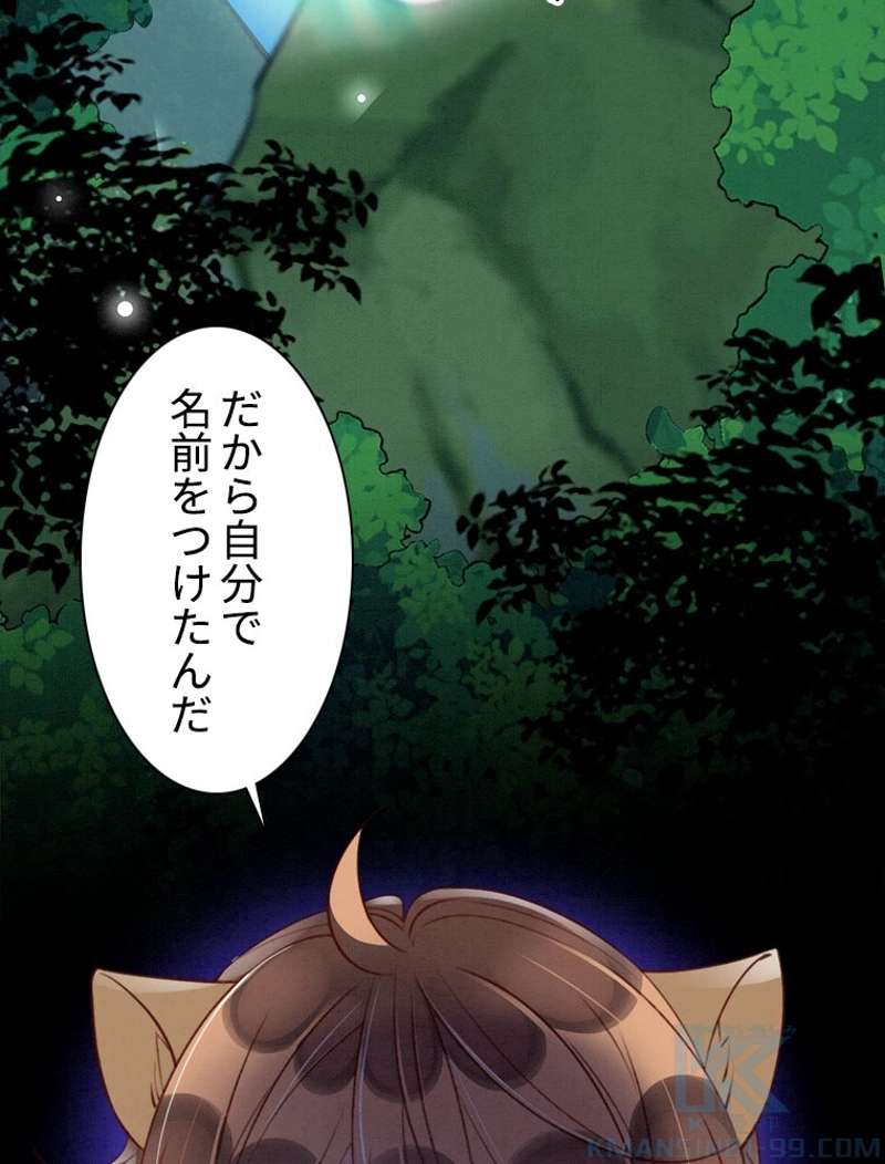P61