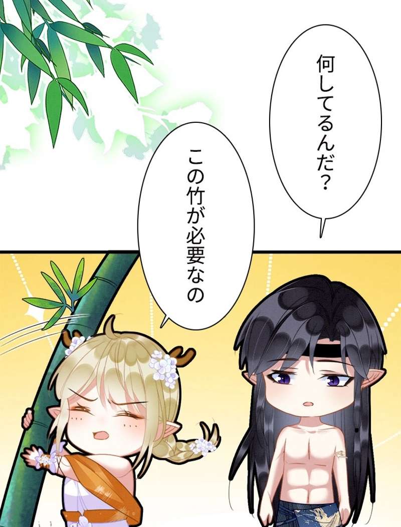 P48