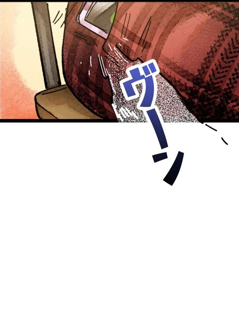 P113