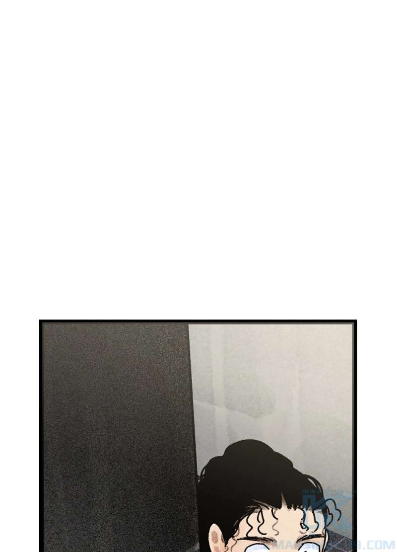 P117
