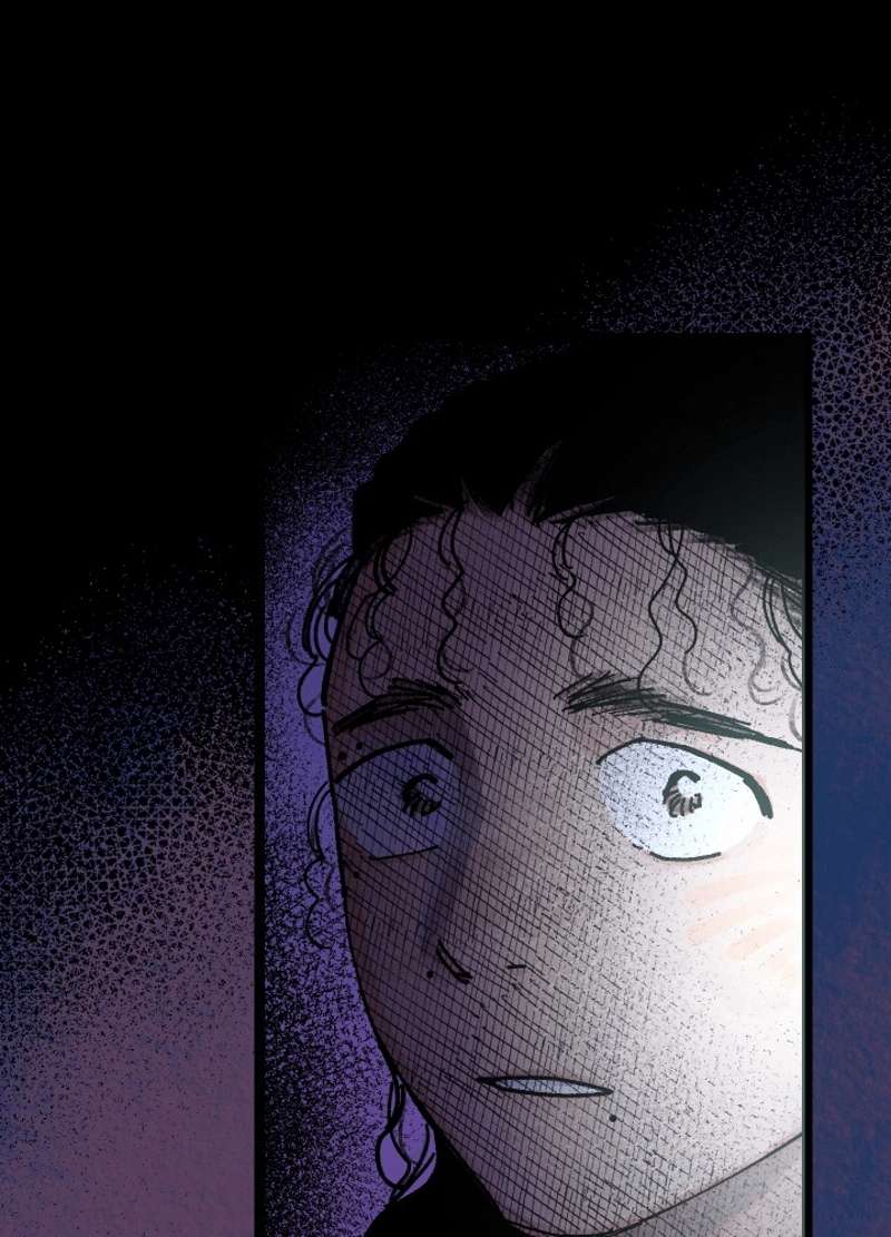 P53
