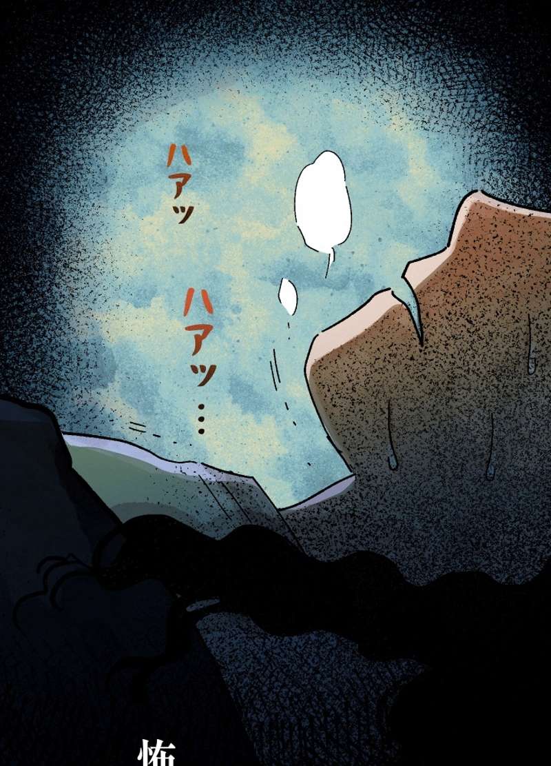 P66