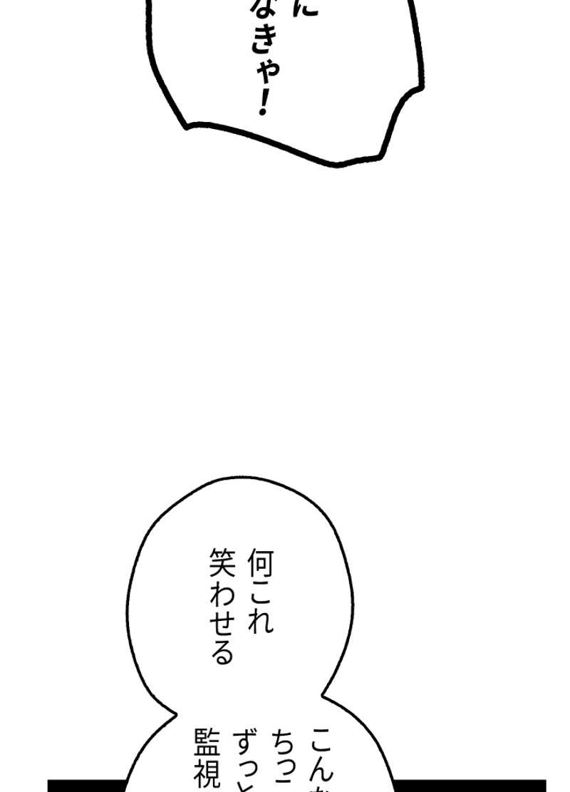 P53