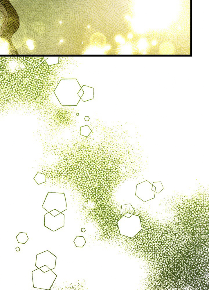 P65