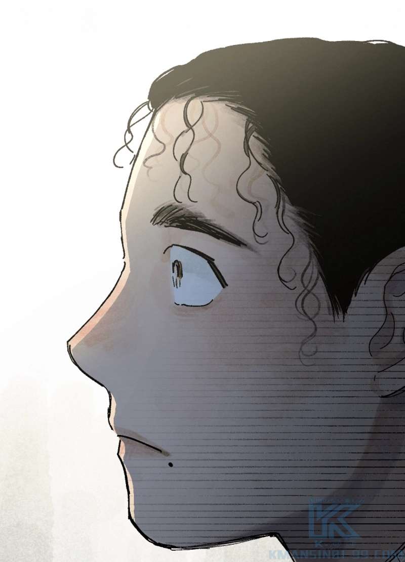 P66