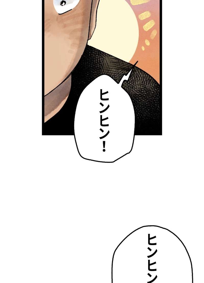 P41