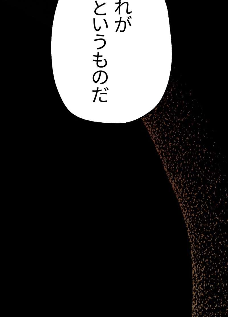 P133