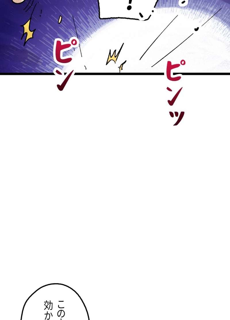 P66